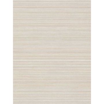 Allineate Seashell Wallpaper