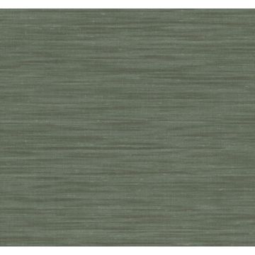 Sari Silk Green Wallpaper