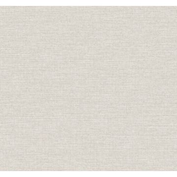 Terrene Light Grey Wallpaper