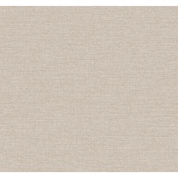 Terrene Light Brown Wallpaper