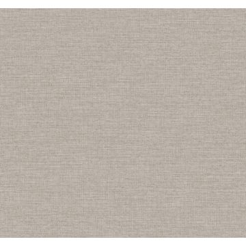 Terrene Grey Wallpaper