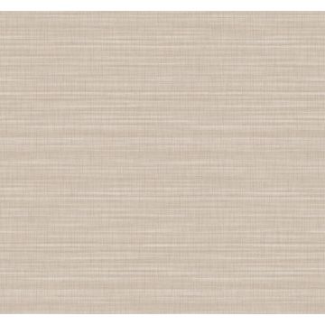 Down To Earth Beige Wallpaper