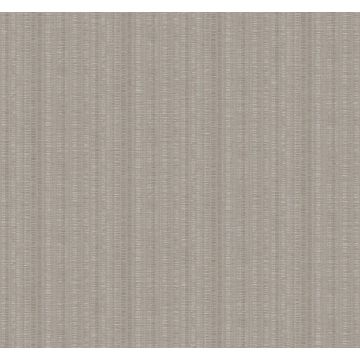 Line In The Sand Taupe Wallpaper