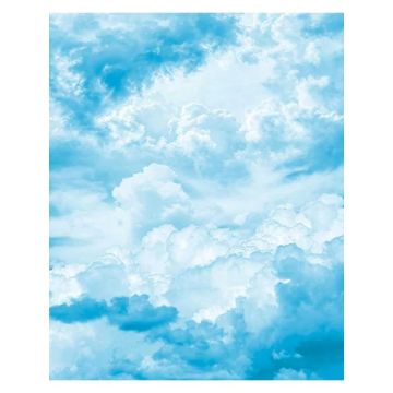 Himmelszelt 4 Panel Blue Mural