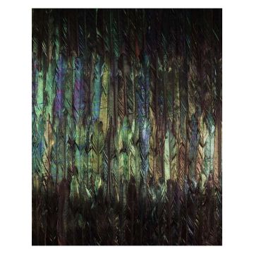Dark Wings 4 Panel Black Mural