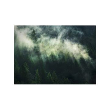 Misty Crowns 7 Panel Green Mural