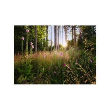Summer Glade 7 Panel Green Mural