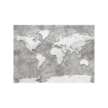 World Relief 7 Panel Grey Mural