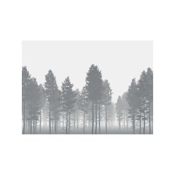 Nebula 7 Panel Grey Mural