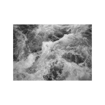 Wildest Water 7 Panel Grey Mural