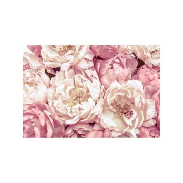 Peonies 4 Panel Pink Mural