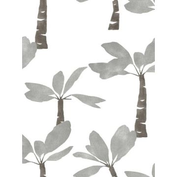 Painted Oasis Carbon & Graphite Wallpaper