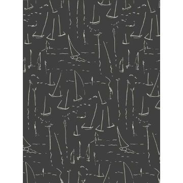 Vermillion Coast Carbon Black Wallpaper