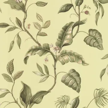Eldora Green Evening Tropics Leaves Wallpaper Sidewall Chesapeake DLR58422