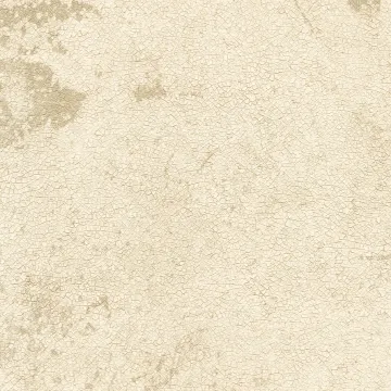 Beige Vintage Wallpaper Sidewall Chesapeake FFR66453