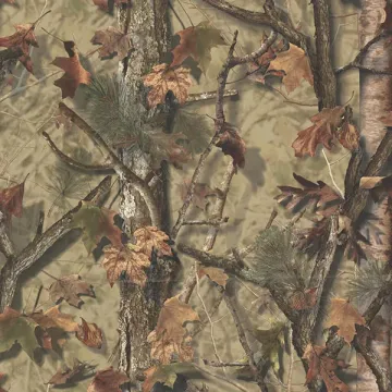 Sawgrass Brown Camo Forest Wallpaper Sidewall Chesapeake TLL01461