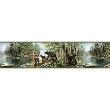 Salvador Green Bear Necessities Wallpaper Border Chesapeake TLL01531B