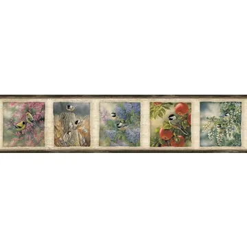Springfield Black Springfield Wallpaper Border Chesapeake TLL01571B