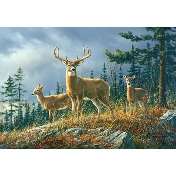 Autumn Whitetail Mural Murals Chesapeake TLL151