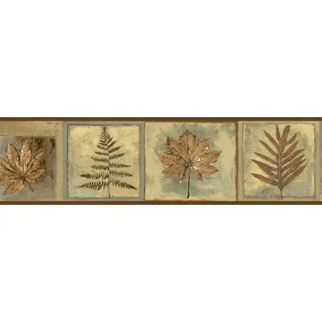 Paho Brown Fern Squares Wallpaper Border Chesapeake TLL35604B