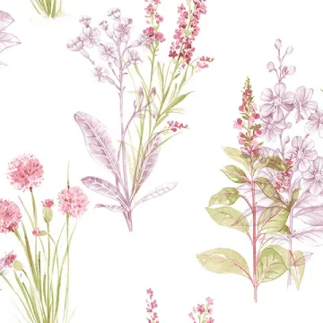 AB42444 Flora Wallpaper Cream, Purple, Pink, Green Abby Rose 3 Norwall Wallcovering