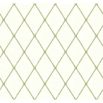 Ashford House Blooms Bamboo Harlequin Wallpaper