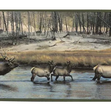 Green Bull and Cow Elk Wallpaper Border