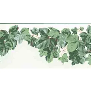 Ivy Leaves Decorative Wallpaper Border- 2 rolls left