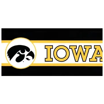 University of Iowa Hawkeye Wallpaper Border BE7123