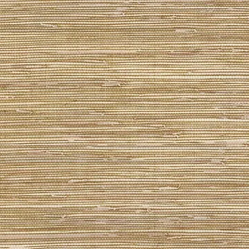 BG21536 Grasscloth Wallpaper Brown Texture Style 2 Norwall Wallcovering