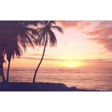 Hawaiian Sunset Wallpaper Mural