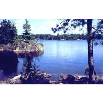 Lake in the Woods Mural