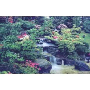 Oriental Garden Wallpaper Mural