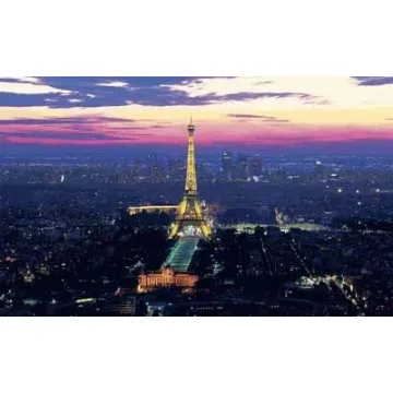 Paris Lights Wall Mural