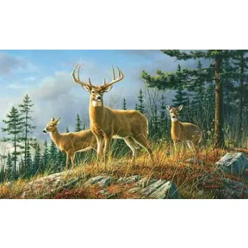 Autumn Whitetail Deer Wallpaper Mural