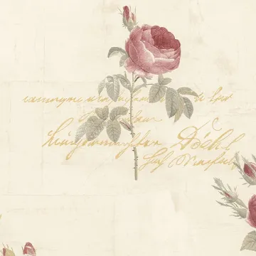 CG28860 Script Rose Wallpaper Red, Tan, Metallic Gold Garden 2 Norwall Wallcovering