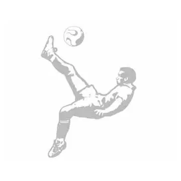 Sudden Shadows Flip Kick Mural