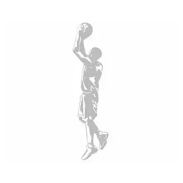 Sudden Shadows Jumpshot Mural