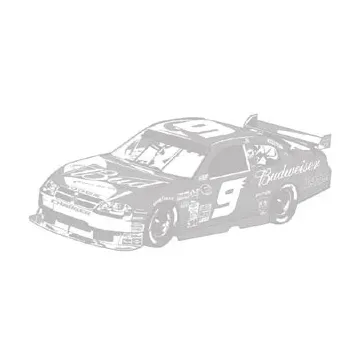 NASCAR Kasey Kahne Sudden Shadow Mural 02018