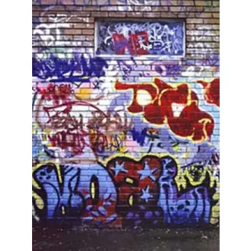 Wall Graffiti Mural