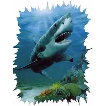 Shark Wall Mural
