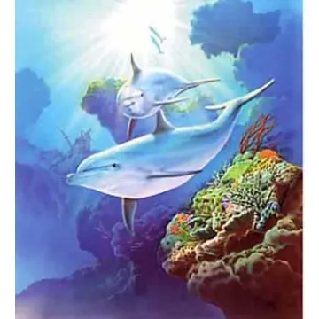 Dolphins Mural