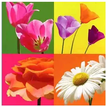 Fun Blocks Flower Mural - 1 left