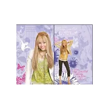 Hannah Montana Disney Wall Cutouts