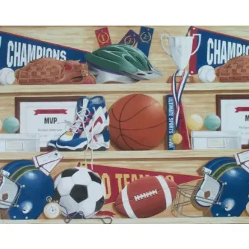 Sports Shelf Wallpaper Border- 1 ROLL LEFT