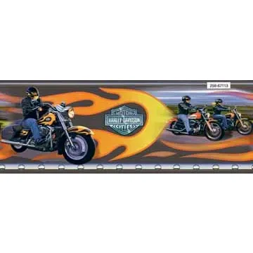 Harley Davidson Flame Mural - Only 1 Left