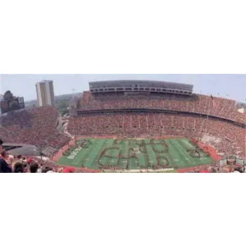 Ohio State Wallpaper Mural