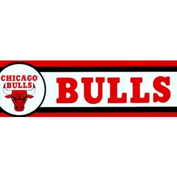 Chicago Bulls NBA Basketball Wallpaper Border - Teamworks