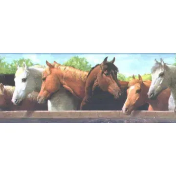 Blue Horse Feeding Time Wallpaper Border