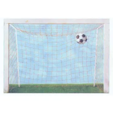 Soccer Goal Wallposter Accent Mural